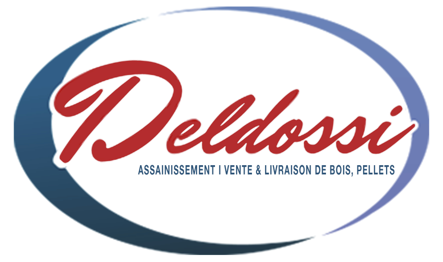 Logo DELDOSSI